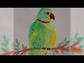 parrot! totta! tota! flowers drawing hacks! paint crayon! English stories! story! art! how to draw
