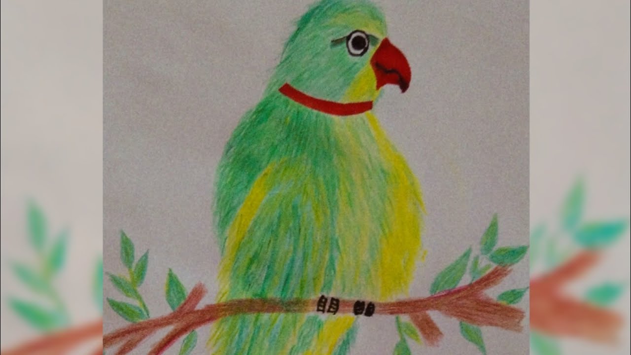 parrot! totta! tota! flowers drawing hacks! paint crayon! English stories! story! art! how to draw
