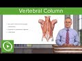 Vertebral Column – Anatomy | Lecturio