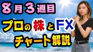 FXドル円と日経平均のチャート分析方法と価格予想【ヒンデンブルグオーメンとトレーダーの９５％は負けていることの裏読み】