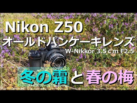 Nikon Z50と70年前のニッコール W-NIKKOR 3.5cm F2.5 雑草と梅スナップ