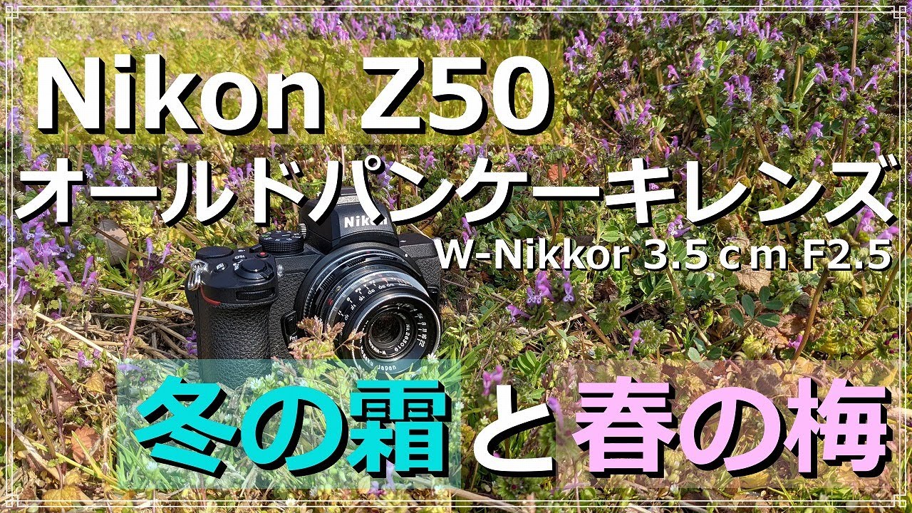 Nikon Z50と70年前のニッコール W-NIKKOR 3.5cm F2.5 雑草と梅スナップ
