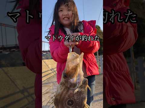 8歳の釣り愛好家、2ヶ月の努力が実を結ぶ！感動のマトウダイ釣果#shorts
