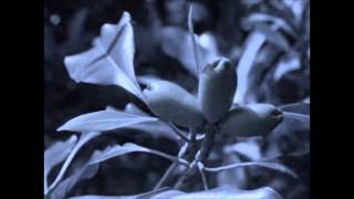 Ezel Ip Attimda Ucu Kaldi