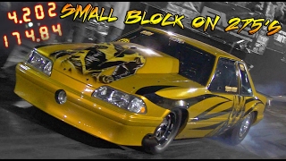 Gold Dust - Fletcher Cox - Small Block Single Turbo On 275S