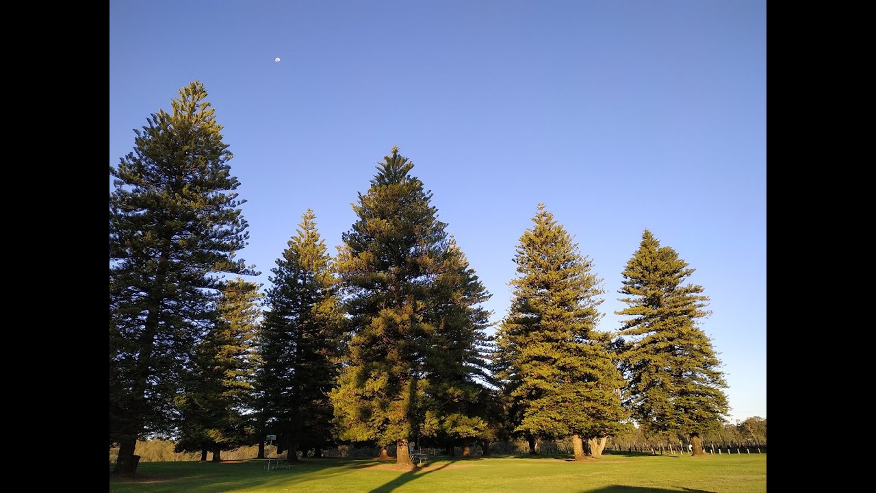 Perth tour | Perth City  to Swan Valley driving