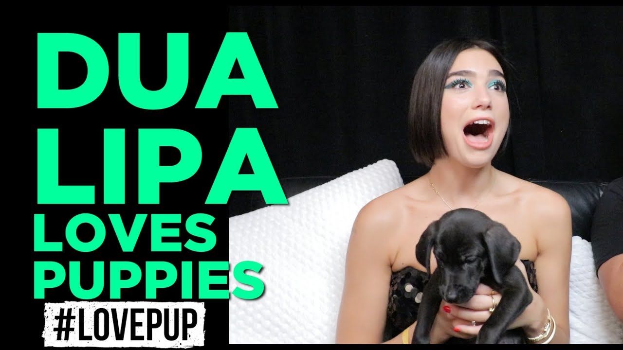 Dua Lipa Snuggling 5 Puppies! #LovePup