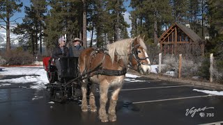 Scenic Sleigh Ride Through Tahoe’s Snowy Trails | Outdoor Nevada