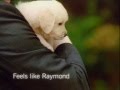 Raymond the complete man tvc  puppies