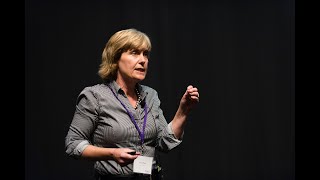 Scientist Stories: Anna Pyle, RNA structure and RNA recognition by protein enzymes