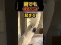 朝になっても変わらない