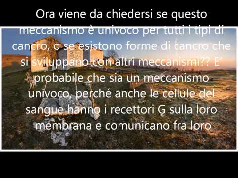psa alto nessun cancro alla prostata capisce i tuoi risultati