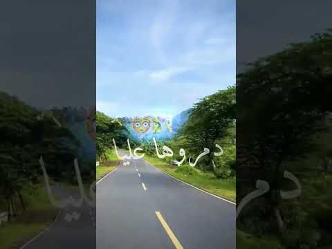 صحاباتها يعشقو فيا صحاباتها يعشقو فيا