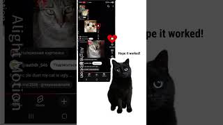 unfortunately i don't have a cat so this cat is from google #alightmotion #duet unfortunately i don't have a cat so this cat is from google #alightmotion #duet