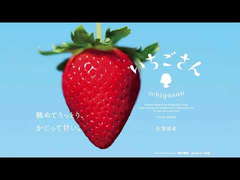 いちごさんTVCM