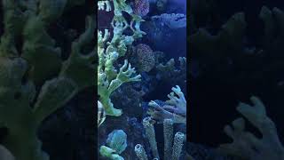 2187 1021124 Mp3
