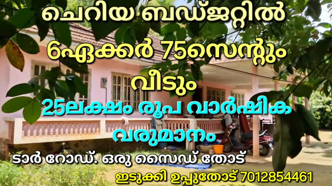 25ലക്ഷം രൂപ വാർഷികവരുമാനമുള്ള 6ഏക്കർ 75സെന്റും വീടും.അടിപൊളി ആദായം.ടാർ റോഡ്. ഒരു സൈഡ് തോട് 👇ഇടുക്കി👇