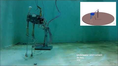 Dynamic Walking of a Legged Robot in Underwater Environments