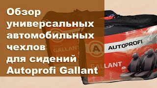Обзор чехлов на сиденья автомобиля Autoprofi Gallant
