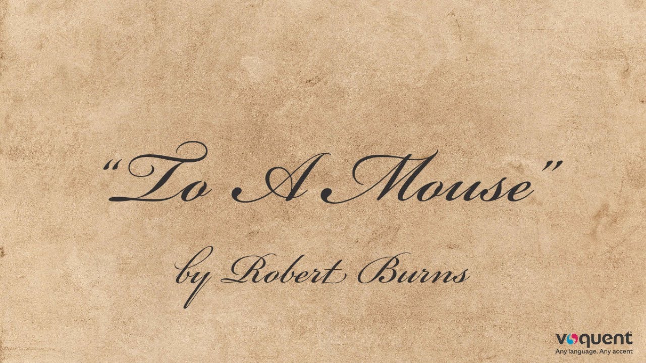 robbie burns poem to a mouse