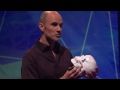 Shakespeare's mysterious Mr. W. H | Petter Amundsen | TEDxArendal