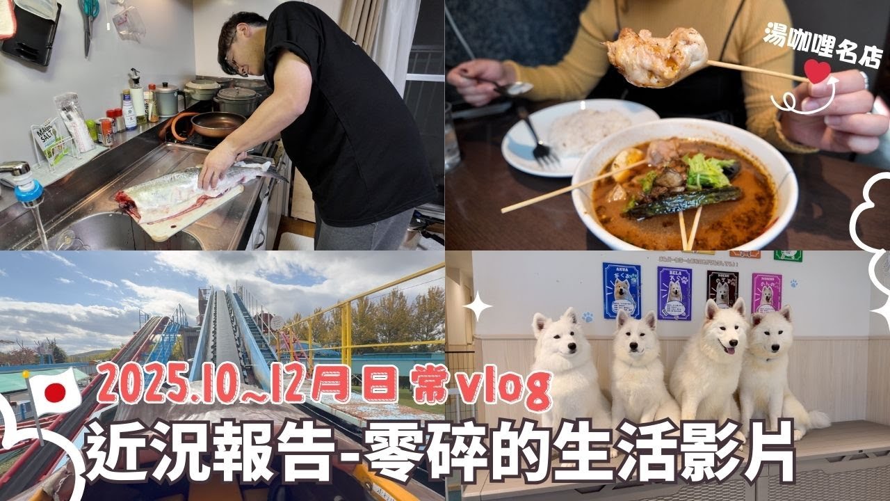 日本生活⎮北海道10~12月vlog⎮瑣碎的日常-逛大創、小岡切魚秀、威士忌福袋、Greenland、湯咖哩名店Suage+ 、薩摩耶咖啡、燈中毒😂⎮Eve 伊芙,留日生活中⎮Eve 伊芙,留日生活中