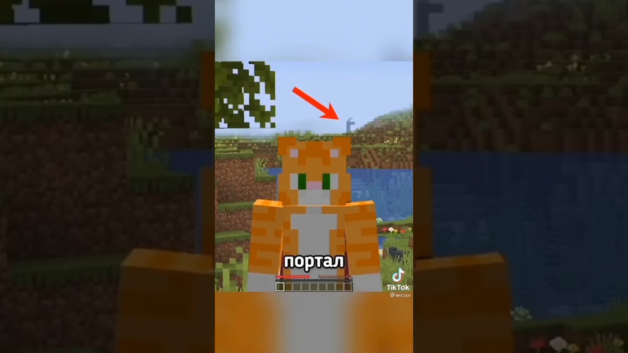 МЕМЫ ИЗ ТИК ТОКА 