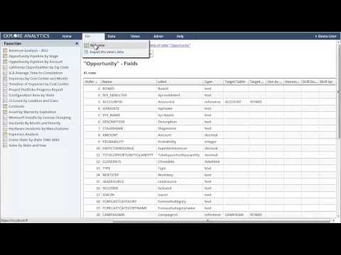 Salesforce.com Analytics and Visualization using Explore Analytics