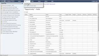 Salesforce.com Analytics and Visualization using Explore Analytics