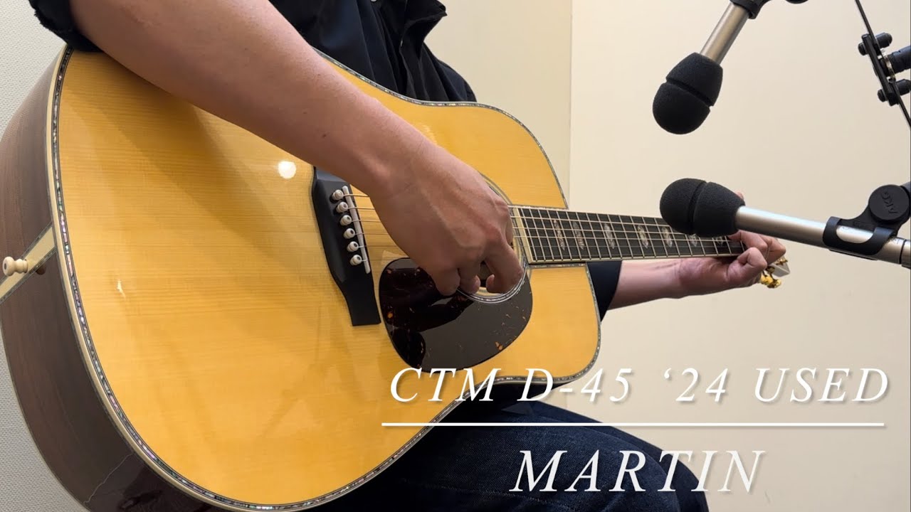 【希少モデル】Martin D-16 Adirondack top カルロス搭載 Martin CTM D-45 Adirondack Spruce / Cocobolo【2024年製 美品中古