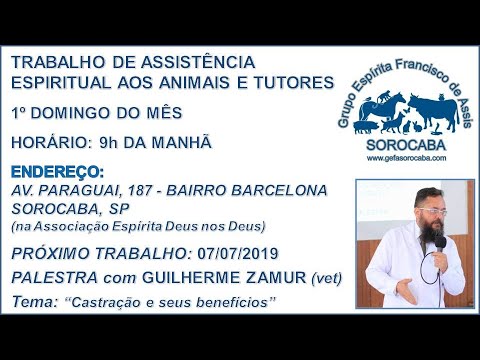 Assista: Palestra presencial - c/ GUILHERME ZAMUR (07/07/2019)