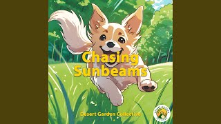 Chasing Sunbeams