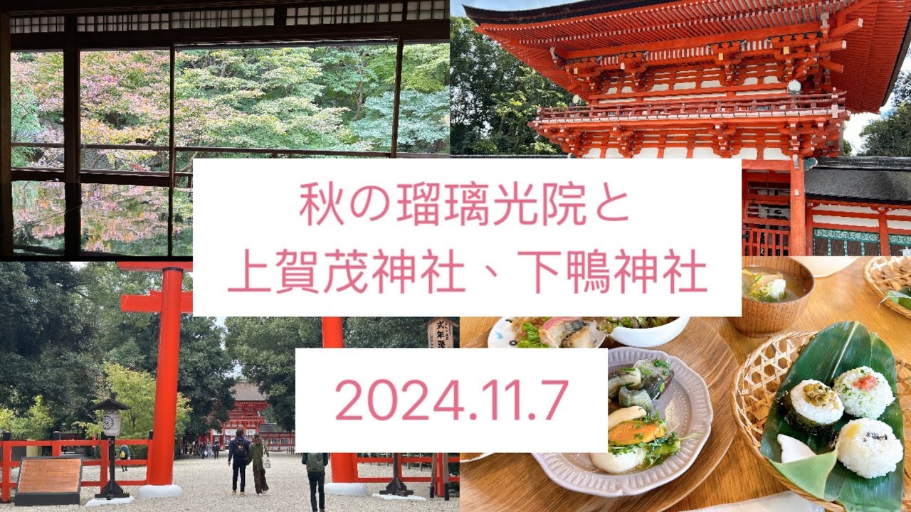 【京都女子旅】#秋の瑠璃光院#上賀茂神社#下鴨神社 #京都ランチ