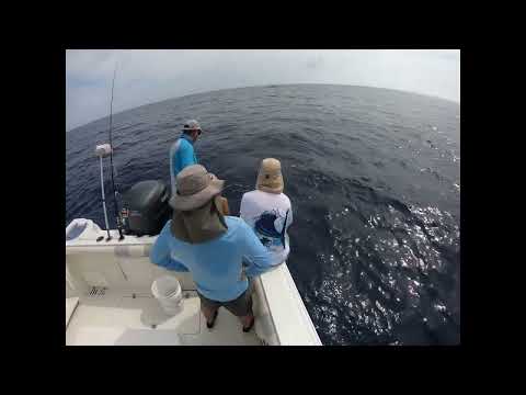 Queen Snapper Florida Keys XL