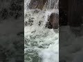 Waterfall Sounds Are Pure Calm 😌