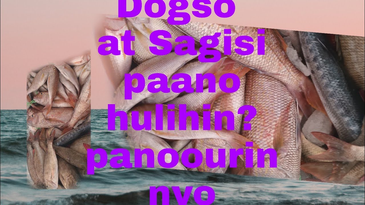 paano mang huli ng dugso at sagisi???