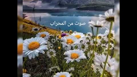 سورة القيامة كما لم تسمعها من قبل حاجة تريح النفس والقلب وتبكي العين