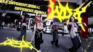 kpop In Publiconetakeaespa wda whole Different Animal Dance Cover By Eclat From Taiwan
