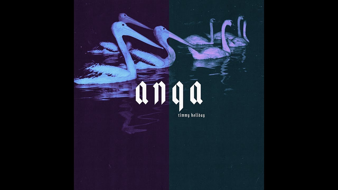 timmy holiday // anqa // lately