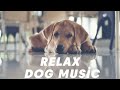 【犬の睡眠用BGM】愛犬のための音楽。吠えるワンちゃんを落ちつかせたいときに。