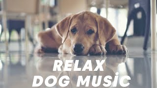 【犬の睡眠用BGM】愛犬のための音楽。吠えるワンちゃんを落ちつかせたいときに。