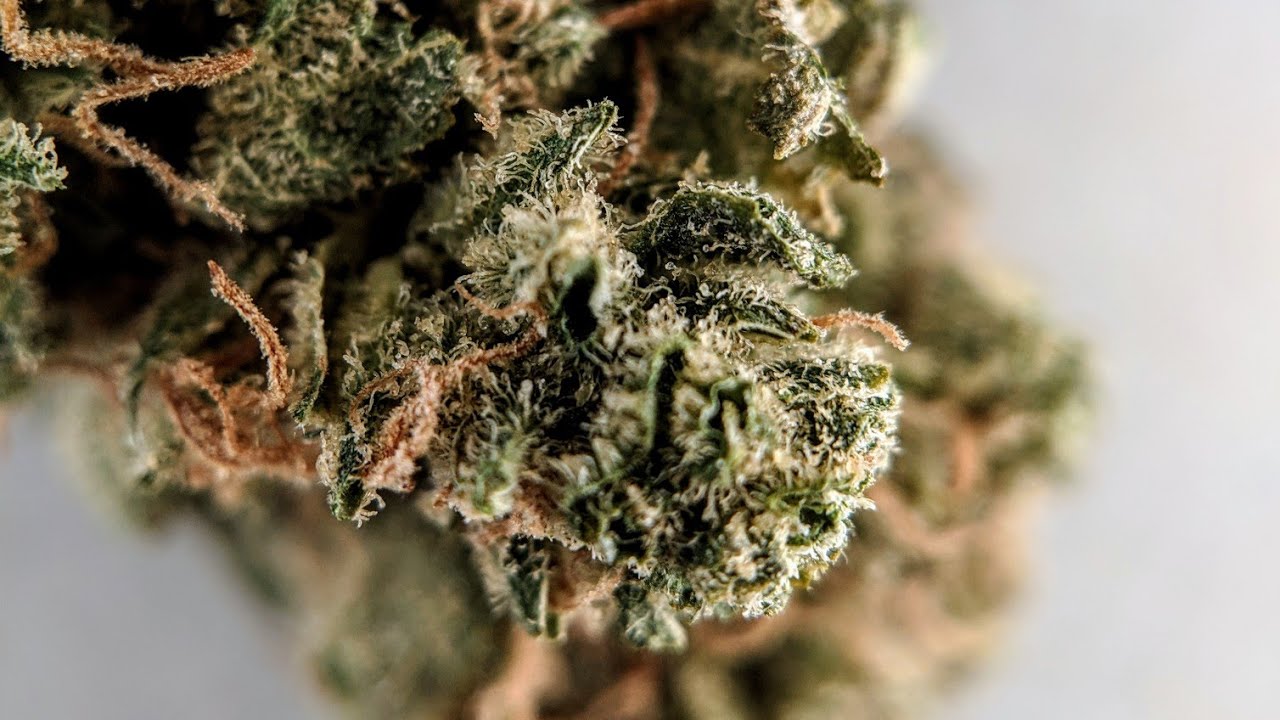 Canadian cannabis review Namaste MK Ultra