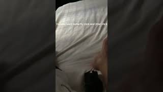 Trycs Give Bob Back.