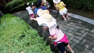 발도르프얼집자연관찰~^