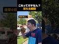 これってガチなん？ 呆れる瞬間 🫨🫨🫨