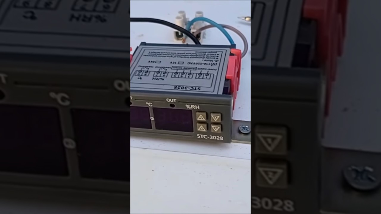 Construcción de incubadora casera con termostato STC 3028