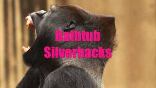 Bathtub - Silverbacks
