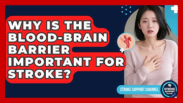 Why Is The Blood-brain Barrier Important For Stroke? - Stroke Support Channel