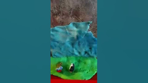 The penguin and the walrus