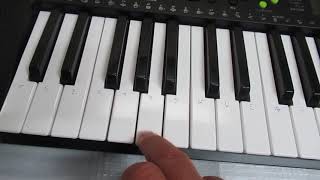 カシオ（CASIO）電子キーボード　 ベーシックキーボード　Casiotone　CTK-240　スリム＆コンパクト　49鍵盤　100音色　100リズム　AC電源と乾電池の2電源対応　見やすい液晶画面